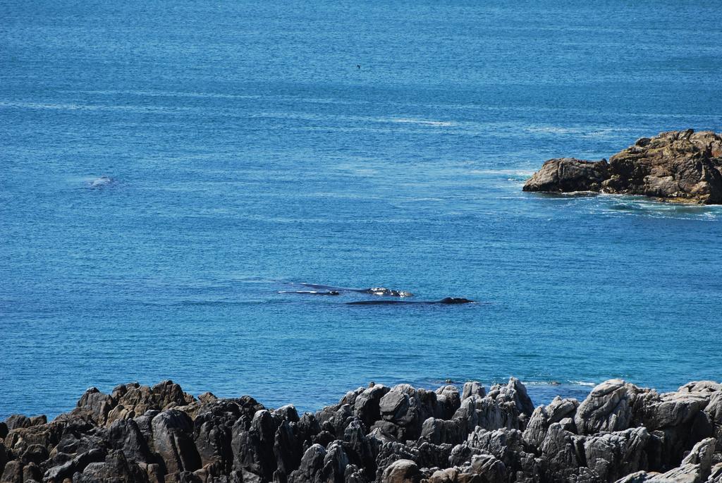 Apartamento Whaletale De Kelders Exterior foto