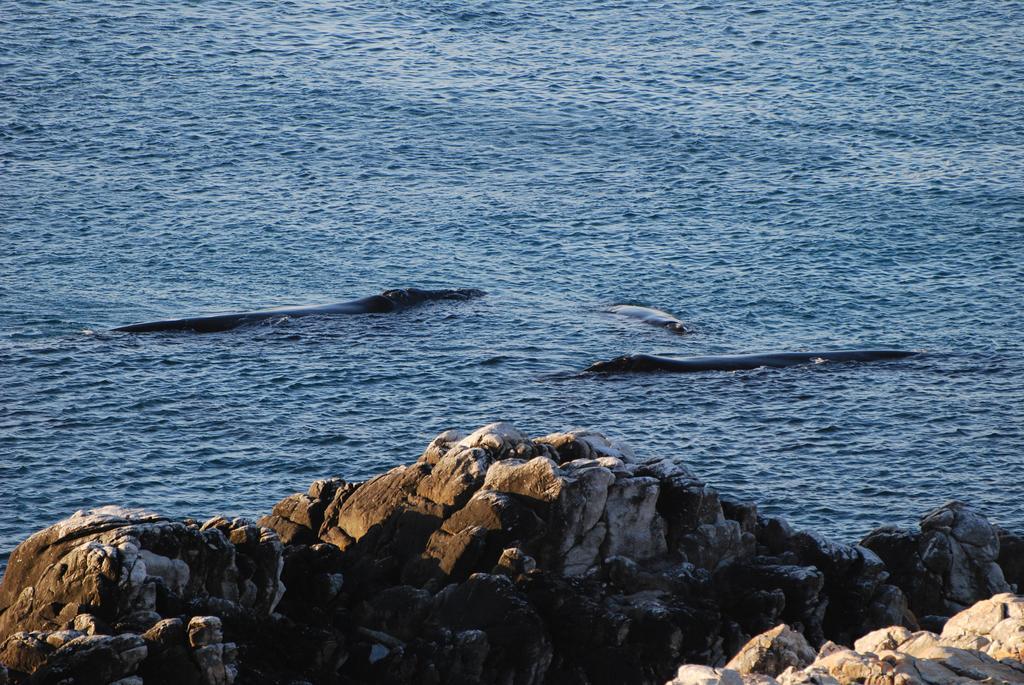 Apartamento Whaletale De Kelders Exterior foto